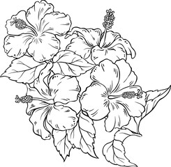 Hibiscus Branch with Flowers and Leaves Outline Illustration. 