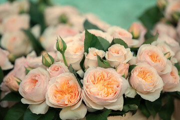 Vintage bouquet of soft cream roses on a green background.