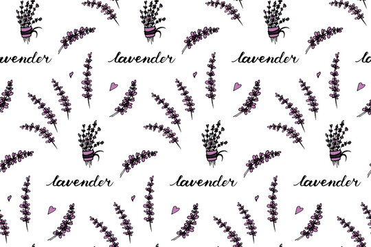 Lavender seamless pattern design. Purple blossom ornament. Hand drawn doodle flowers illustration