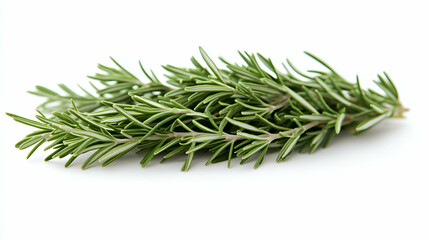 Fototapeta premium Fresh Rosemary Sprigs Isolated on White - A close-up of fresh rosemary sprigs with vibrant green leaves, showcasing their natural texture and aroma.