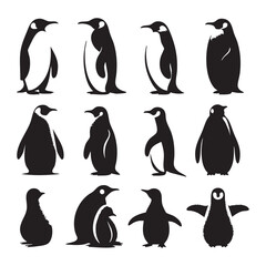 Obraz premium Set of penguin silhouette on white background