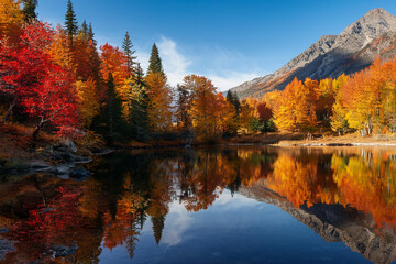 Obraz premium Tranquil lake surrounded by autumn trees and mountains, with vibrant red, orange, and yellow leaves mirrored on the water's surface, ai.
