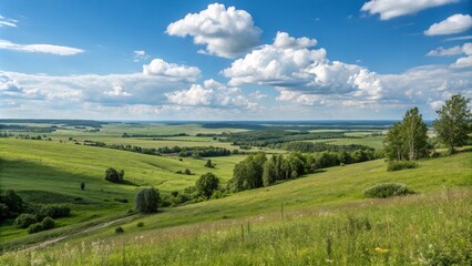 russia summer landscape - green fileds, the blue sky and white c