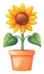 Obraz premium Vibrant sunflower plant with orange pot and green leaves isolated on transparent background.