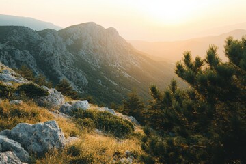 A misty mountain view with cliffs and trees at sunrise. A rocky mountain landscape.
