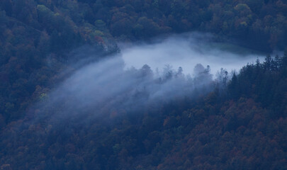 brume d'automne