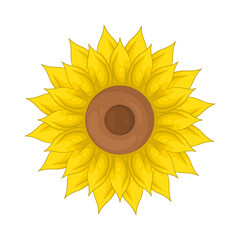 Illustration of sunflower 