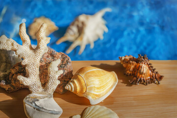 summer background of several shells, coral and sea quartz on blue water background