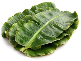 Obraz premium Banana leaves, has a wide range of application because they are large, flexible, waterproof, and decorative.