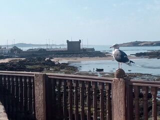 Sqala, Essaouira, Morocco