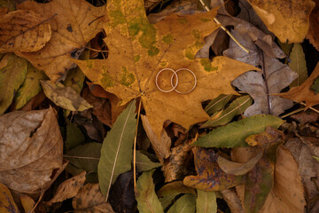 Wedding Rings Surrounded by Autumn Leaves