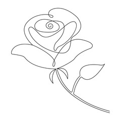 Rose flower continuous one line drawing of valentines day outline vector  illustration
