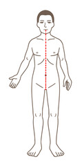 鍼灸の経穴、任脈、ツボのイラスト