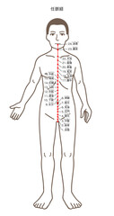 鍼灸の経穴、任脈、ツボのイラスト