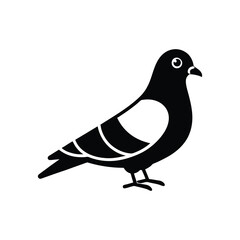 Cute Pigeon Vector Illustration