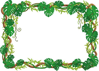 Tropical jungle forest frame with lianas and green monstera leaves, vector background. Jungle liana vine branches of ivy creeper plant with green hanging leaves for cartoon decoration background frame