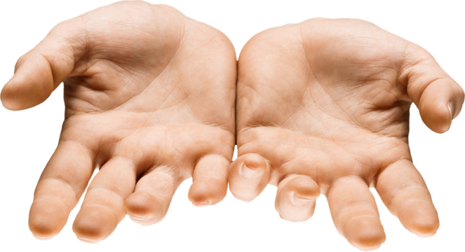 Close-up of open palms facing upward, symbolizing offering, surrender, plea for help. Isolated on transparent background. Concept of visual communication, signs