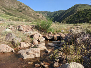 Stream with big stones in the mountains in summer. Vivid photographs of natural landscapes. Travel...