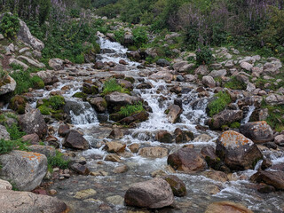 Stream with big stones in the mountains in summer. Green forest on the shore. Vivid photographs of...
