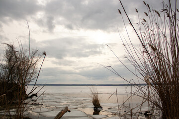 Fototapeta premium landscape with river