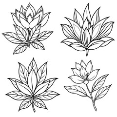 Set of Minimalist Botanical Vector Illustration