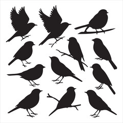 set of vector icon bird silhouette	

