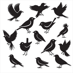 set of vector icon bird silhouette	
