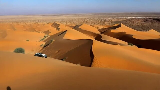 Document the unique beauty and ecology of desert landscapes, exploring activities like dune bashing or stargazing in arid regions.
