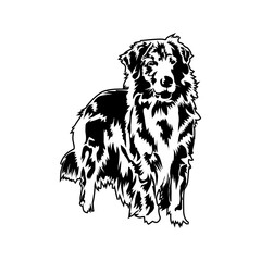 Dog illustration design PNG