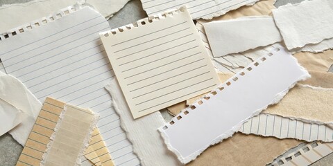 A Collection of Torn Papers with Lined and Blank Spaces for Note-Taking and Artistic Expression