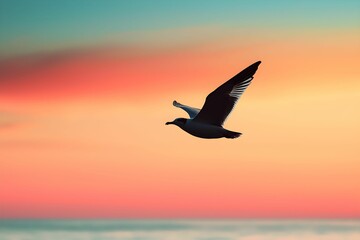 Seagull soaring against a colorful sunset sky near the ocean