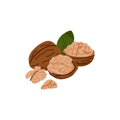 Cartoon walnut. Nuts in shell and peeled pieces. Healthy food. Diet snack. Organic vegetarian element. Whole and half. Natural plant ingredient packaging design. Vector isolated illustration