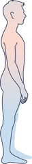 Illustration of a human figure in side profile demonstrating good posture.