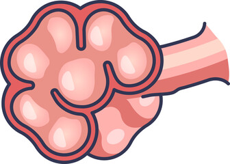 Illustration of alveoli, highlighting respiratory health issues.