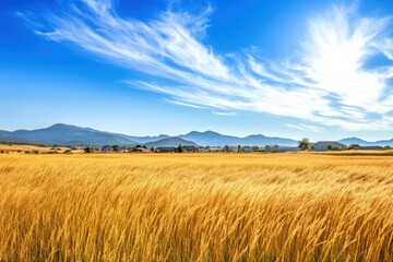 Obraz premium Golden Wheat Field with Mountain View