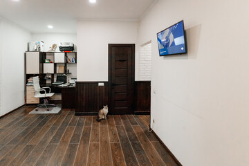 Fototapeta premium room in new house sale of apartment