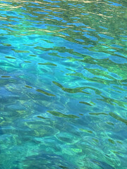 Sea ripples emerald clear water surface vertical photo