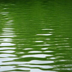 Rippled green water surface texture.