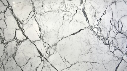 White Carrara marble interior with grey veining, showcasing timeless luxury in an elegant design