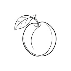 A line art vector of a plum with a small leaf