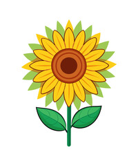 sunflower vector illustration