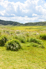 Kusasenri is a vast grassy plain in Kumamoto Kyushu Japan