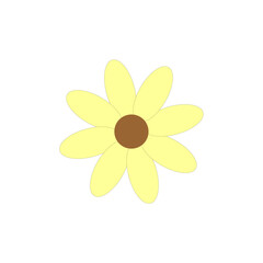 yellow flower isolated on white