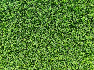 Green grass field background top view for soccer, golf, baseball, football. Realistic summer fresh lawn carpet. Green field wallpaper.