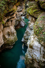 A Serene River Canyon That Is Surrounded by a Beautiful, Lush Greenery In Nature