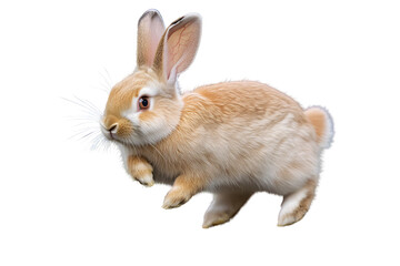 Obraz premium Hopping Delight: A light brown bunny mid-hop, showcasing its fluffy fur and adorable features. A charming image perfect for Easter, springtime, or any project needing a touch of cuteness, isolated