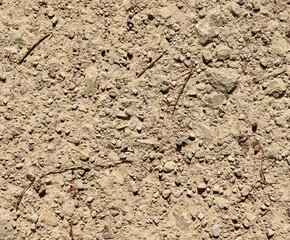 A close view of the hard dry dirt surface.