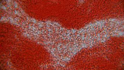 Human blood under a microscope. You can see erythrocytes - red blood cells. The red color is given...