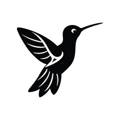Cute Hummingbird Vector Illustration

