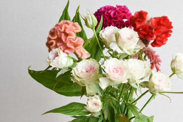 薔薇とケイトウ